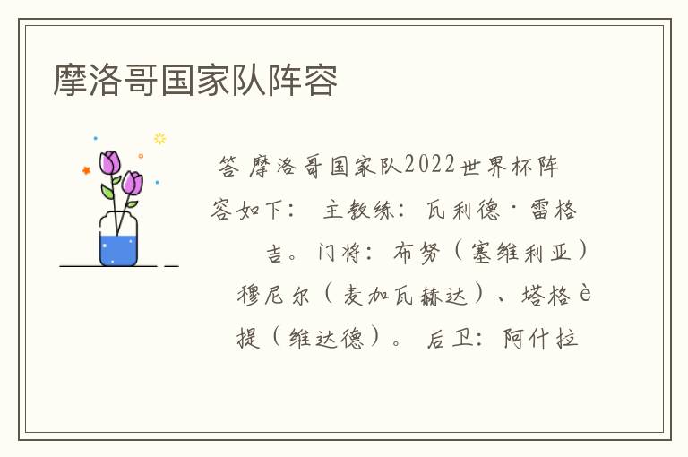 摩洛哥国家队阵容