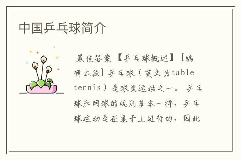 中国乒乓球简介