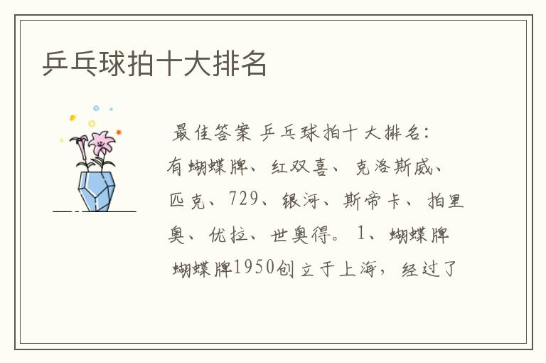 乒乓球拍十大排名