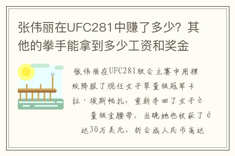 张伟丽在UFC281中赚了多少?其他的拳手能拿到多少工资和奖金?