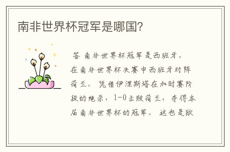 南非世界杯冠军是哪国?