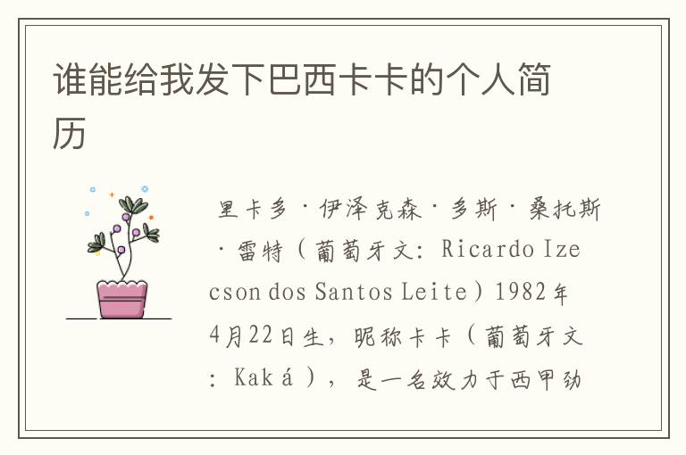 谁能给我发下巴西卡卡的个人简历