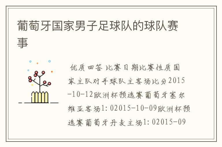 葡萄牙国家男子足球队的球队赛事