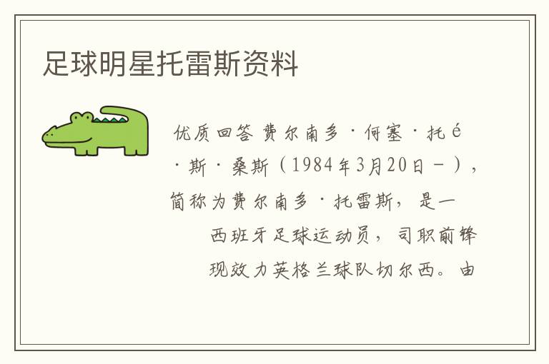 足球明星托雷斯资料