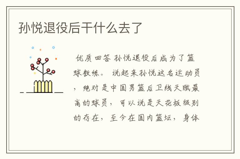 孙悦退役后干什么去了