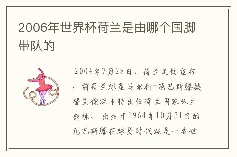 2006年世界杯荷兰是由哪个国脚带队的