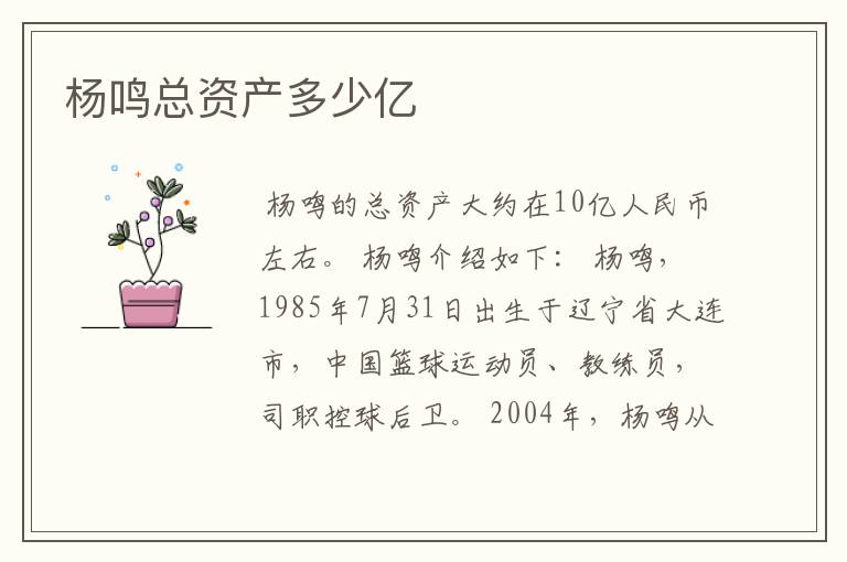 杨鸣总资产多少亿