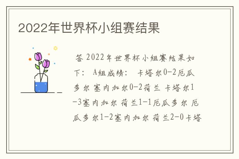 2022年世界杯小组赛结果