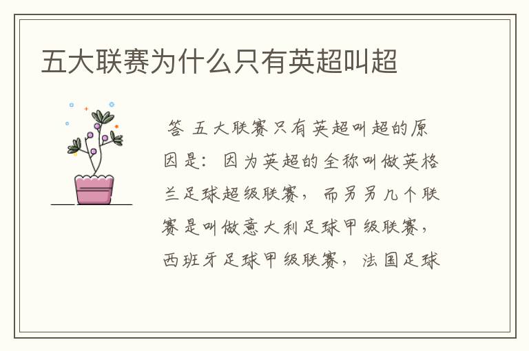 五大联赛为什么只有英超叫超