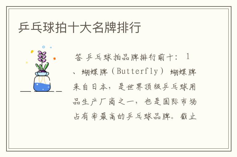 乒乓球拍十大名牌排行