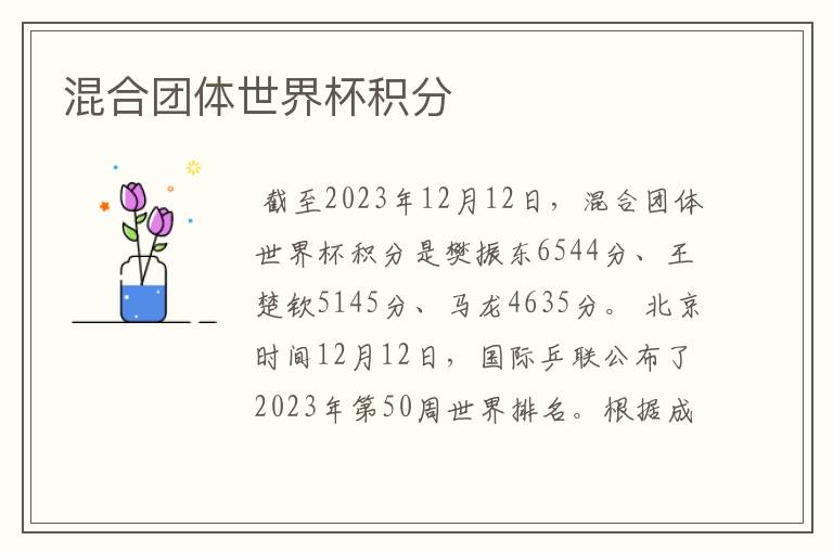 混合团体世界杯积分