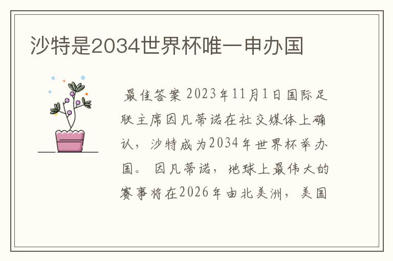 沙特是2034世界杯唯一申办国