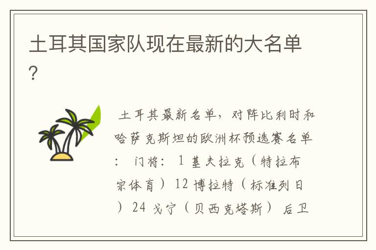 土耳其国家队现在最新的大名单?