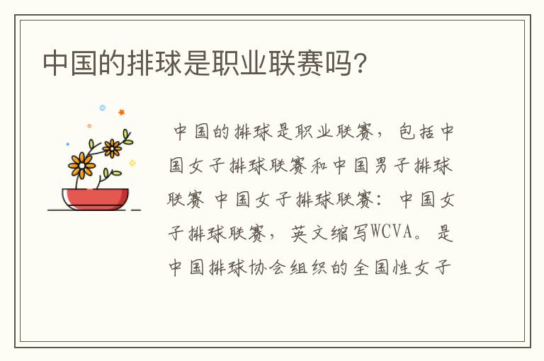 中国的排球是职业联赛吗?