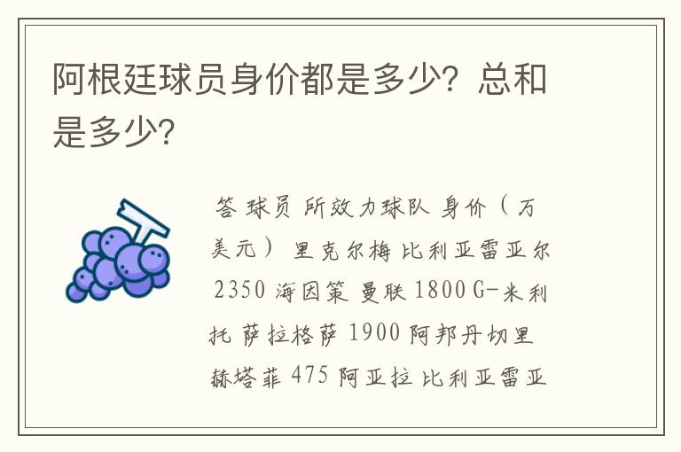 阿根廷球员身价都是多少?总和是多少?