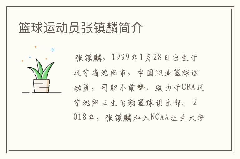 篮球运动员张镇麟简介