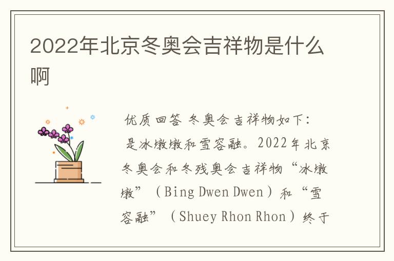 2022年北京冬奥会吉祥物是什么啊