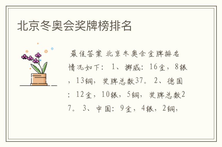 北京冬奥会奖牌榜排名
