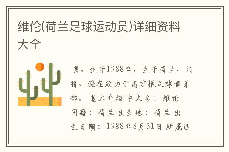 维伦(荷兰足球运动员)详细资料大全