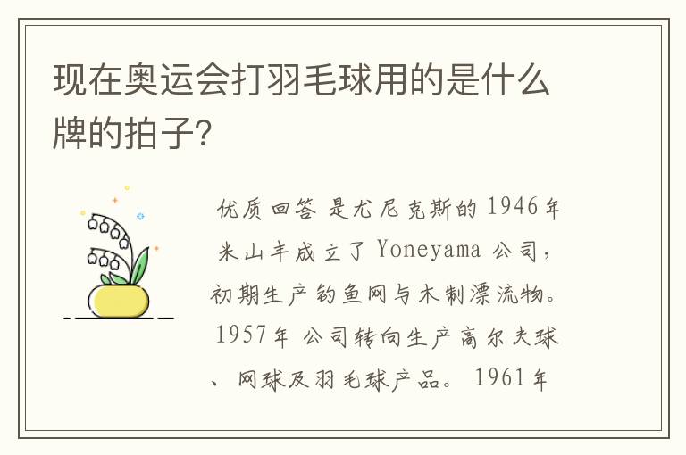 现在奥运会打羽毛球用的是什么牌的拍子?