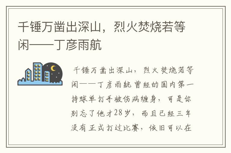 千锤万凿出深山,烈火焚烧若等闲——丁彦雨航