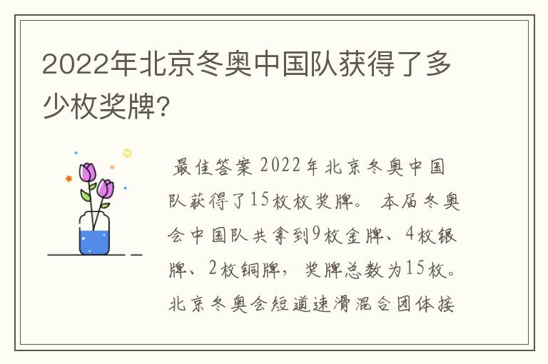 2022年北京冬奥中国队获得了多少枚奖牌?