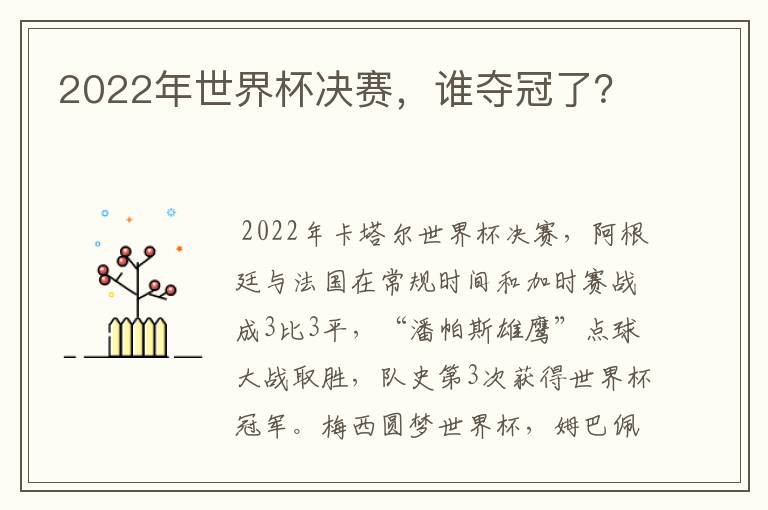 2022年世界杯决赛，谁夺冠了？