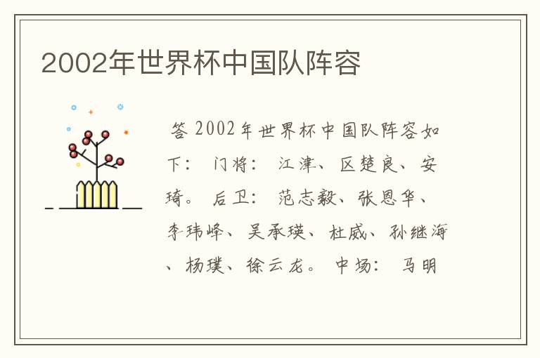 2002年世界杯中国队阵容