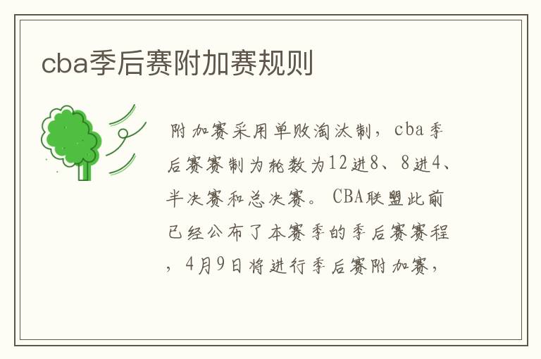 cba季后赛附加赛规则