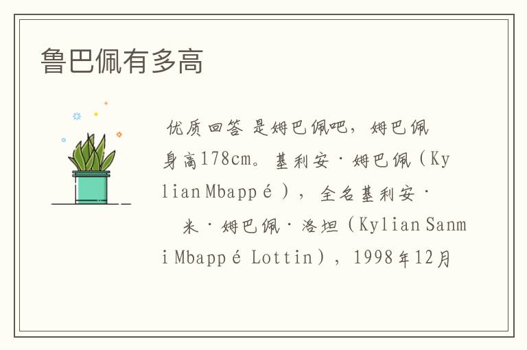 鲁巴佩有多高