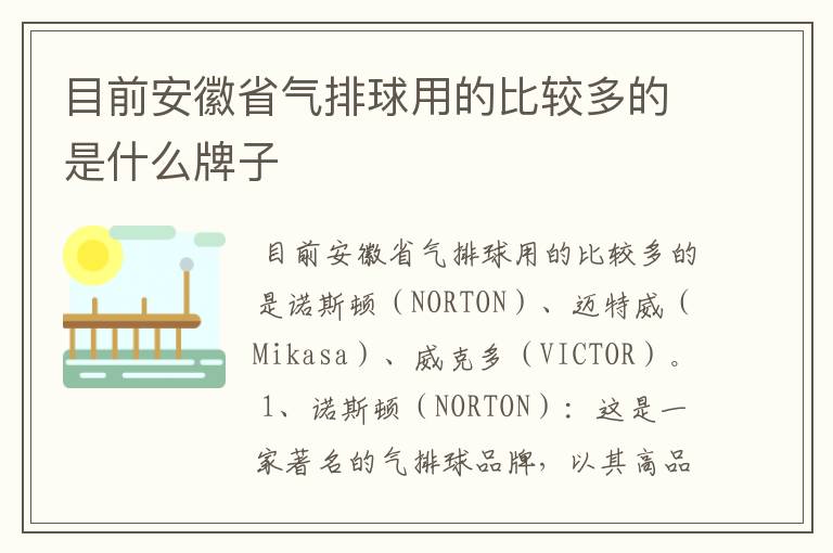 目前安徽省气排球用的比较多的是什么牌子
