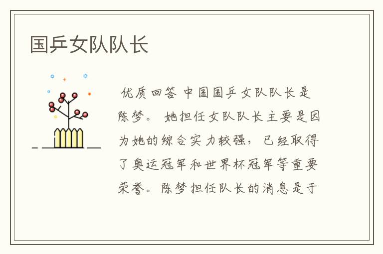 国乒女队队长