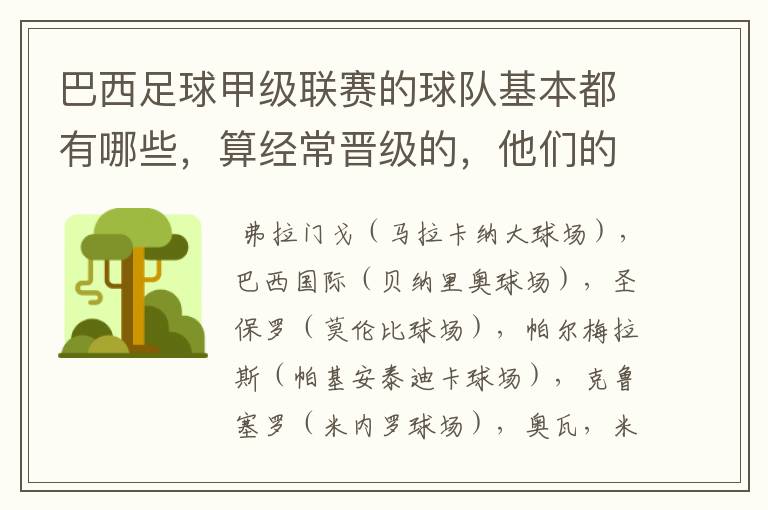 巴西足球甲级联赛的球队基本都有哪些,算经常晋级的,他们的球场都叫什么名