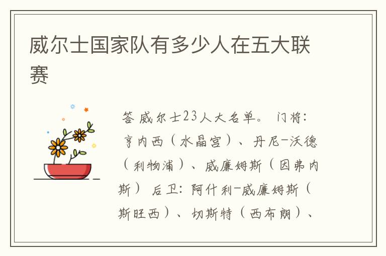 威尔士国家队有多少人在五大联赛