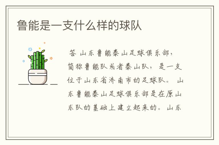 鲁能是一支什么样的球队
