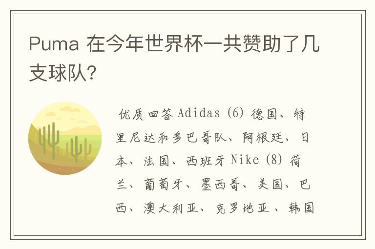 Puma 在今年世界杯一共赞助了几支球队?