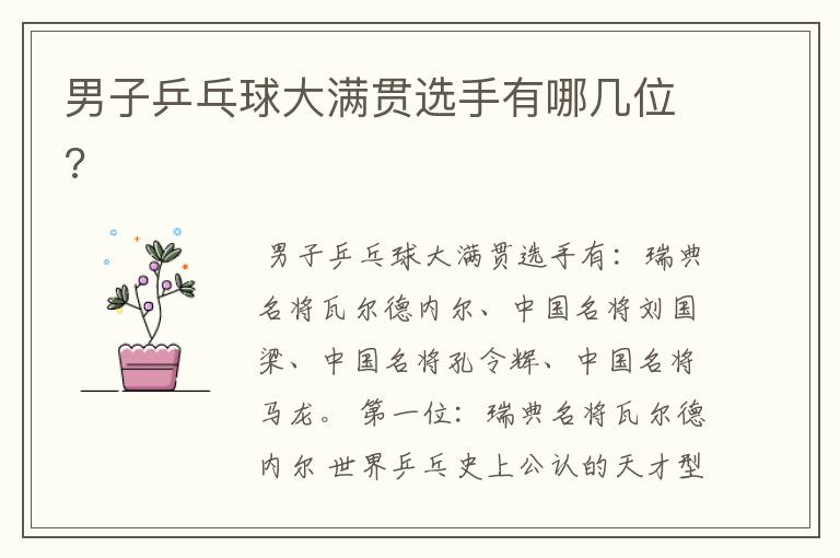 男子乒乓球大满贯选手有哪几位?