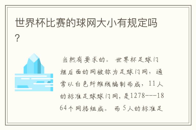世界杯比赛的球网大小有规定吗?