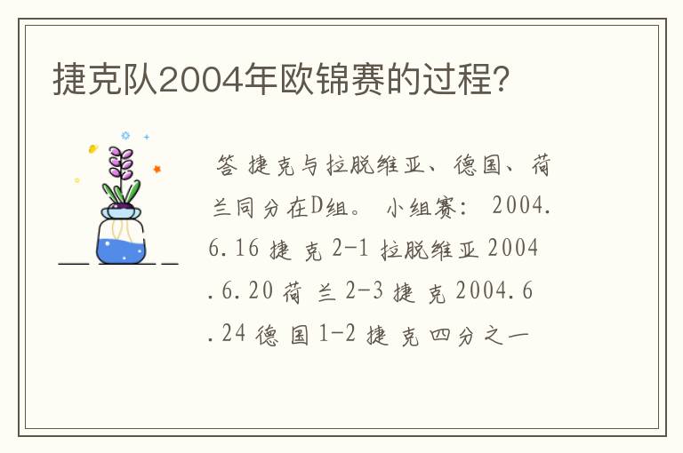 捷克队2004年欧锦赛的过程?