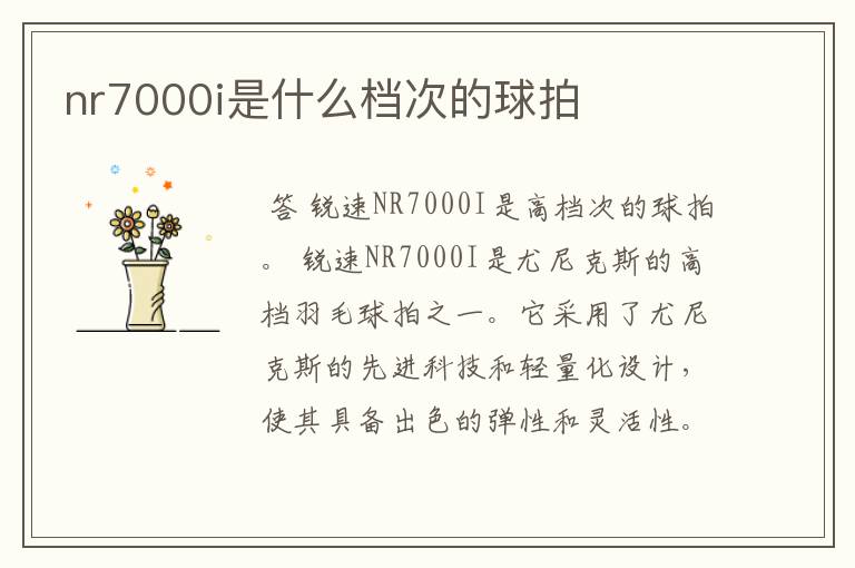 nr7000i是什么档次的球拍
