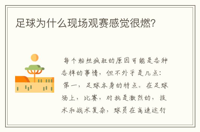 足球为什么现场观赛感觉很燃?