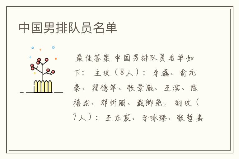 中国男排队员名单
