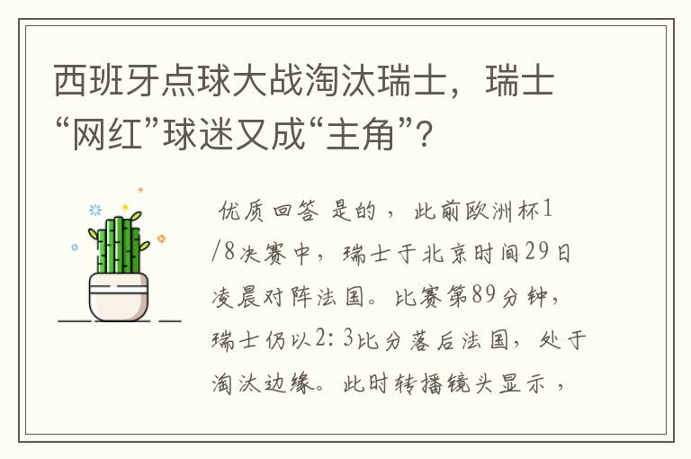 西班牙点球大战淘汰瑞士,瑞士“网红”球迷又成“主角”?