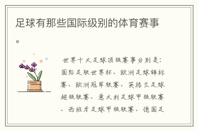 足球有那些国际级别的体育赛事。