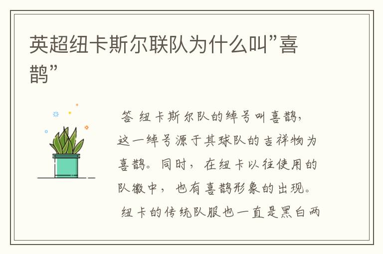 英超纽卡斯尔联队为什么叫”喜鹊”