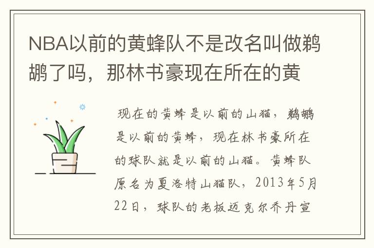 NBA以前的黄蜂队不是改名叫做鹈鹕了吗,那林书豪现在所在的黄蜂队又是怎么回事?这两个队到底是什么关