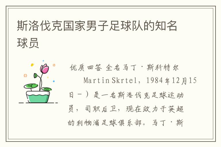 斯洛伐克国家男子足球队的知名球员