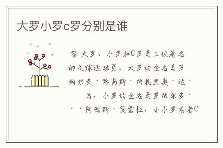 大罗小罗c罗分别是谁