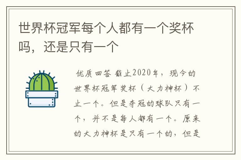 世界杯冠军每个人都有一个奖杯吗,还是只有一个
