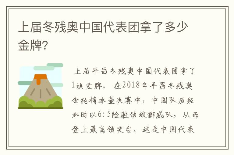 上届冬残奥中国代表团拿了多少金牌?